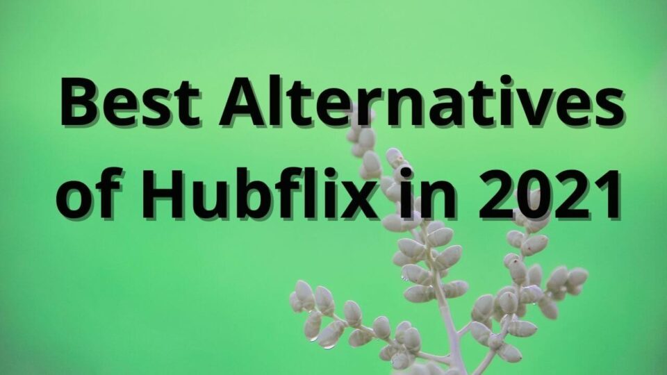 Hubflix alternatives
